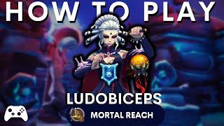 How to Play Seris in [2023] 281K+ Healing Paladins Seris Competitive