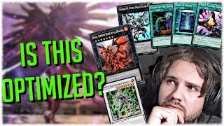 UNDEFEATED KASHTIRA DETAILED DECK PROFILE - EXPLAINING MY CHOICES - Xenoy