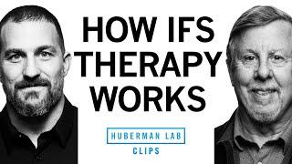 How IFS Therapy Can Help with Trauma & Stress | Dr. Richard Schwartz & Dr. Andrew Huberman