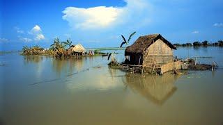 Bangladeshi Village Life 2019