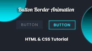 CSS Button Border Animation | HTML CSS Hover Effect
