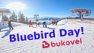 Bluebird conditions in BUKOVEL Ukraine #ASMR Ski 4K #2023  slopes review in  GoPro POV