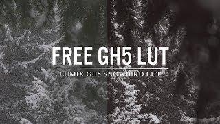 FREE Lumix GH5 LUTs Download | FREE Lumix GH5 LUT Pack (2022)