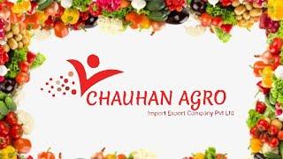 CHAUHAN AGRO IMPORT EXPORT COMPANY