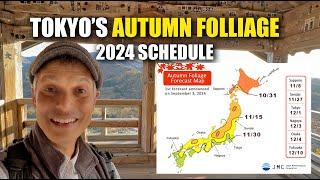 Japan’s AUTUMN FOLIAGE 2024 Forecast & Schedule