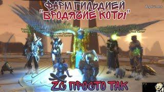 Neverwinter. Op tank farm Zariel  или фарм Зариэль просто так.