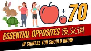 70 opposites in Chinese (you need to know)  |  反义词 | grammar | vocabulary