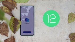 ColorOS 12 Close beta 6 C.09 & C.10 New update for Oneplus 8, 8pro & 8T - END OF CLOSE BETA?