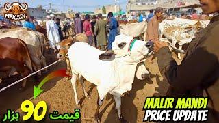 Malir Cow Mandi Latest Rates Update 2024 & 2025 | 50 Hazar Stating price | Cow Prices 2024 & 2025