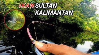 MOMENT TAK TERDUGA SAAT CASTING IKAN TOMAN || TIBA² IKAN SUPER LANGKA MENYAMBAR UMPAN