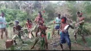 Nayakot Village melody boys funny video