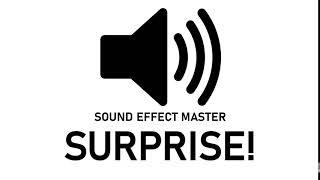 SURPRISE Sound Effect (Metal Gear Solid Exclamation Mark)