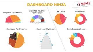 Dashboard Ninja - Build Your Customized Dashboard