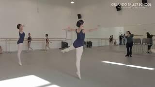 Orlando Ballet School Summer Intensive 2020