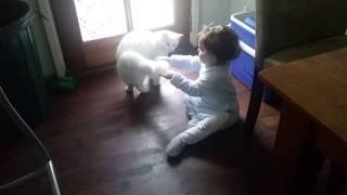 Cat scratches one year old baby