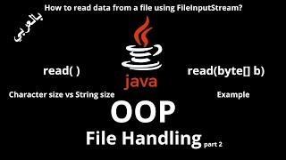 #068 [JAVA] - File Handling ( FileInputStream class, Character size vs String size )