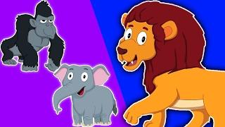 животное звук песня | Дети рифмы | детский стишок | Animal Sound Song | Kids Rhyme | Baby Song