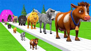 Paint Animals Duck,Tiger,Cow,Lion,Buffalo,Gorilla,Elephant,Dinosaur Fountain Crossing Animal Game Ne