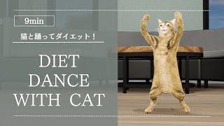 猫と踊って楽しく痩せよう全身に効く！9分猫と有酸素ダンス