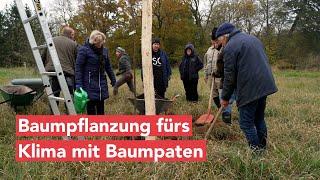 Baumpflanzung fürs Klima mit Baumpaten