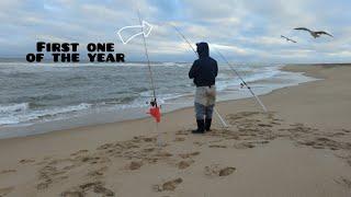 Cape Hatteras Outerbanks Winter Fishing -----  What To Use For Bait And What's Biting