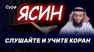 Ясин слушайте коран укрепляйте иман. как прекрасно он читает коран. изумительное чтение корана