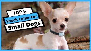  Best Shock Collar For Small Dogs: Shock Collar For Small Dogs (Buying Guide)