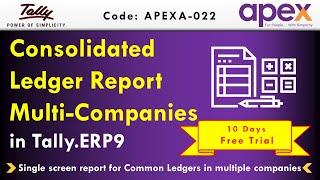 Consolidated Ledger Report Multi Company In Tally.ERP 9 | By Apex Tally Solutions.