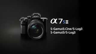 α7S II - S-Gamut3.Cine/S-Log3 and S-Gamut3/S-Log3 movie | Sony | Alpha | A7S II