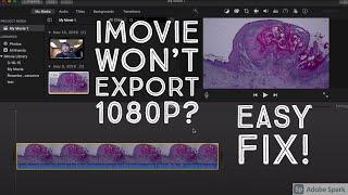 iMovie Won't Export 1080p Video? Easy Fix For Frustrating Glitch