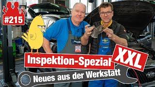 Ein Vogel im Kia!!  Inspektion-Spezial XXL - DAS gehört alles zu einer guten Wartung!