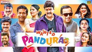 Wanted PanduRao Hindi Dubbed Movie | Sunil, Anasuya | Brahmanandam | South Movie 2024