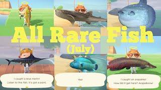 Catching ALL 16 Rare Fish [JULY] - Animal Crossing New Horizons