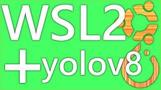 Install yolov8 on WSL2 with Pytorch for GPU and miniconda