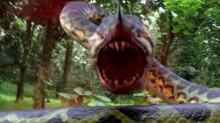 all PIRANHACONDA scenes