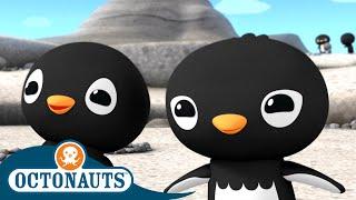 @Octonauts - Home of the Adelie Penguins  | Series 2 | Full Episode 1 | Cartoons for Kids