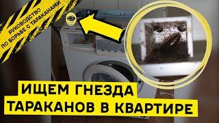 Где прячутся тараканы в квартире и как выглядят их гнезда