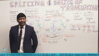 NEET Crack Course | Biology - Splicing and Basics of Translation | Cellsius Institute