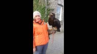 Soo meets Vogue the Steppe Eagle, on her quest to #findyourepic