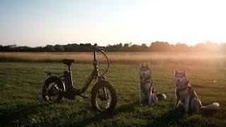 Two Huskies Try Out Bike Joring With ENGWE L20 2.0 Ebike!