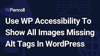 Use WP Accessibility To Show All Images Missing Alt Tags In WordPress