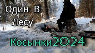 МОРОЗ -30. ВСЁ ЗАМЕРЗАЕТ. Я ЕЕ ВСЕ ТАКИ ПОЙМАЛ. ВЕРНУЛСЯ В ЛЕС. ОДИН В ЛЕСУ.