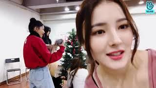 Momoland 모모랜드 Merry Merry Christmas in Vlive (December 24, 2019)