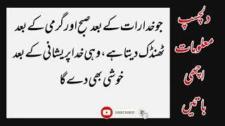 Aqwal e Zareen in Urdu | Urdu Quotes About Life | Best Quotes | Lutf Voice