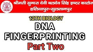 DNA Fingerprinting Part Two | dna fingerprinting class 12 | how to know DNA Fingerprinting | biology