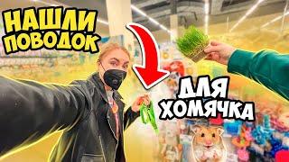 ПРИШЛИ В ЗООМАГАЗИН ЗА ХОМЯКОМ ... А НАШЛИ ЭТО! VLOG