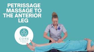 Petrissage Massage to the leg - Foundation Massage techniques