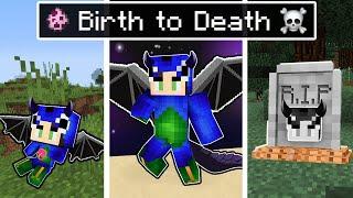 The BIRTH to DEATH of Ender Dragon in Minecraft  (Hindi) ft @EktaMore