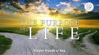 The Purpose of Life - Shaykh Riyadh ul Haq