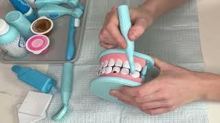 ASMR | REALISTIC Deep Dental Cleaning  // Melissa and Doug Dentist Playset